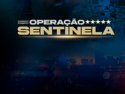 Carreiras Policiais